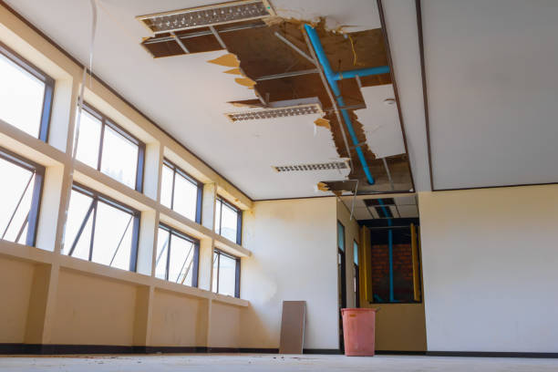 Best Carpet water damage restoration  in Hooverson Heights, WV