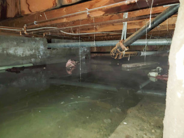 Carpet water damage restoration in WV