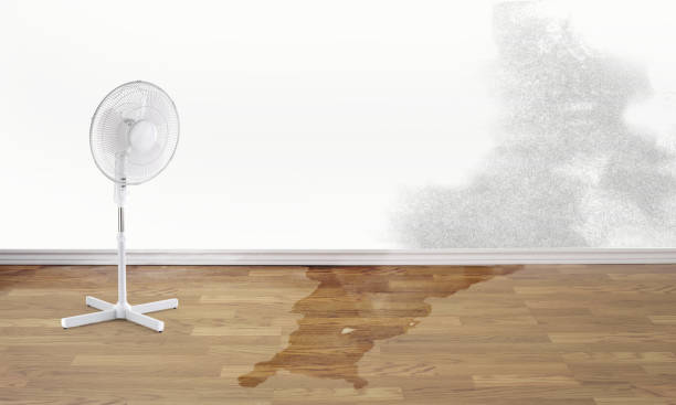 Best Commercial water damage restoration  in Hooverson Heights, WV