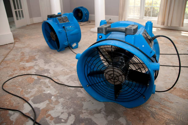 Best Water damage mitigation services  in Hooverson Heights, WV