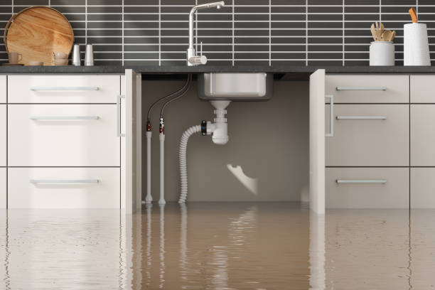 Best Mold removal after water damage  in Hooverson Heights, WV
